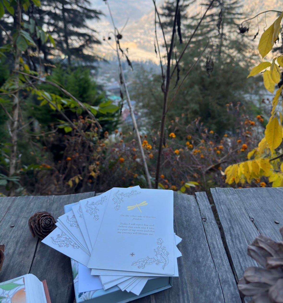The Power of Words : Affirmations & Movement Rituals