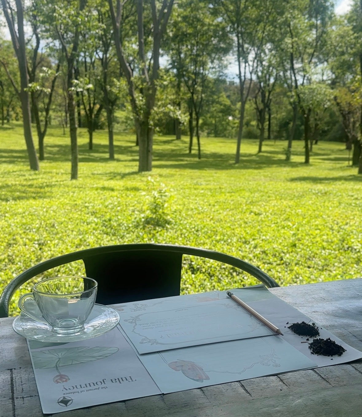 Immersive Tea Therapy