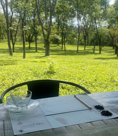 Immersive Tea Therapy